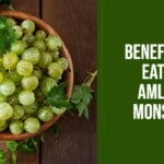 Boost your monsoon immunity with the benefits of amla or gooseberry