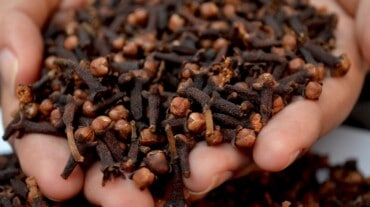 cloves for hair