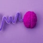 myths about epilepsy