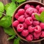 Raspberries for weight loss: 8 berry delicious ways to stay in shape